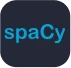 spacy-icon