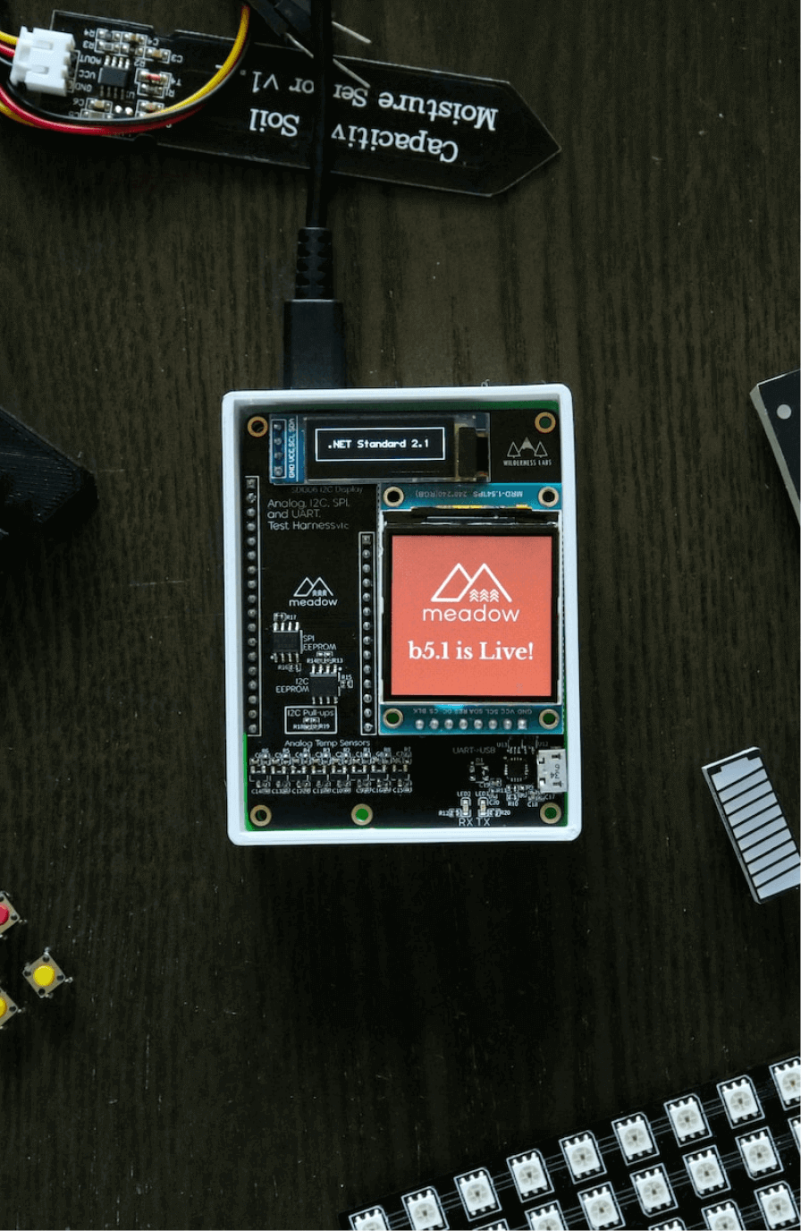 Limitations of IoT App Development